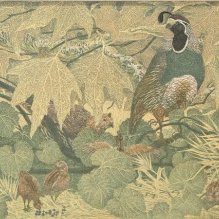 Janet Turner - Quail Amid Wild Grapes