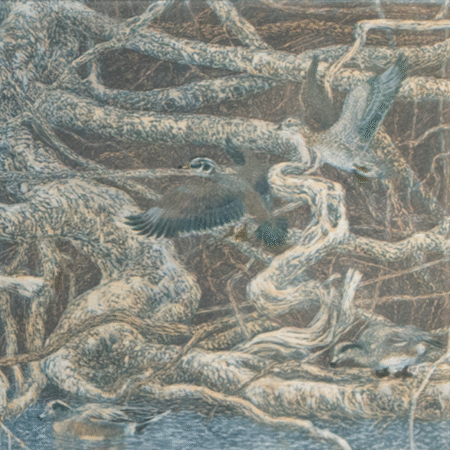 Janet Turner - Roots and Ducks