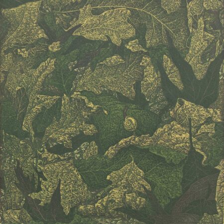 Janet Turner - The Lost Snail