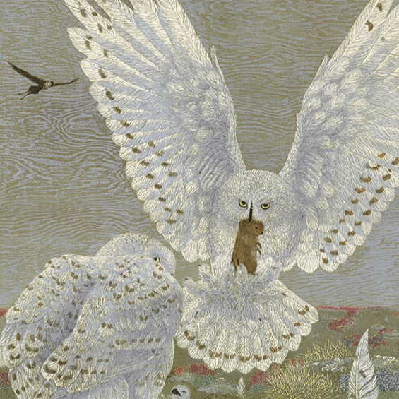 Janet Turner - Tundra Series: Snowy Owls