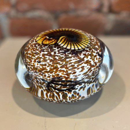 Gold Nautilus on Cream Paperweight
