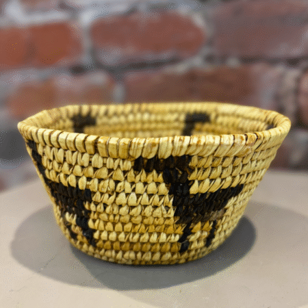 Hand Woven Basket with Animal Pattern