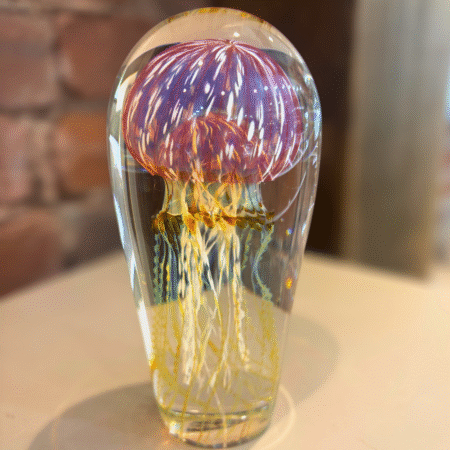 Gold Ruby Jellyfish - Medium