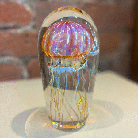 Gold Ruby Jellyfish - Small