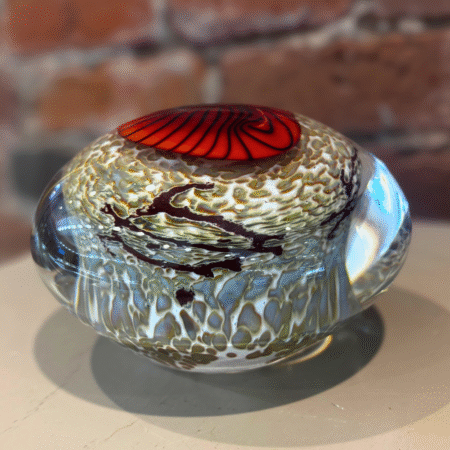 Red Nautilus on Cream Paperweight