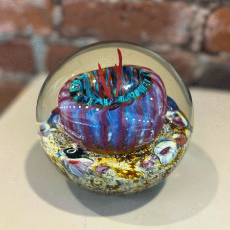 Coral Sea Anemone Paperweight