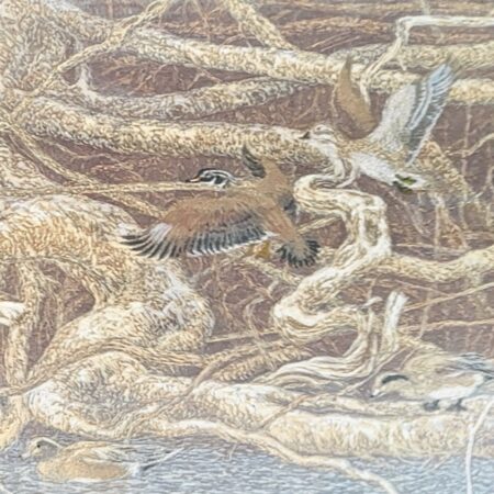 Janet Turner - Roots and Ducks