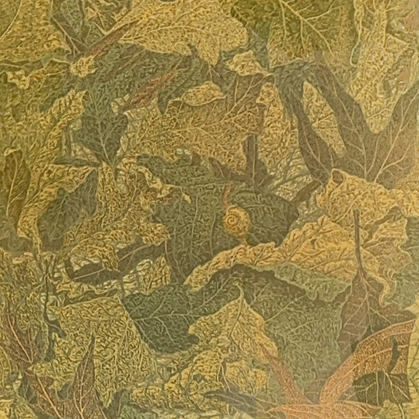 Janet Turner - The Lost Snail